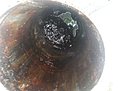 Натиснете снимката за да я уголемите

Име:20210618_183738.jpg
Прегледи:512
Размер:273.8 КБ
ID:6749703