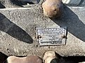 Натиснете снимката за да я уголемите

Име:IMG-0234.jpg
Прегледи:519
Размер:860.8 КБ
ID:6761891