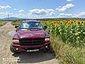 Натиснете снимката за да я уголемите

Име:IMG_20210722_131439.jpg
Прегледи:503
Размер:723.0 КБ
ID:6764132