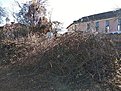 Натиснете снимката за да я уголемите

Име:IMG_20211121_135605.jpg
Прегледи:624
Размер:70.0 КБ
ID:6819962