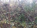 Натиснете снимката за да я уголемите

Име:IMG_20211023_094958.jpg
Прегледи:583
Размер:82.4 КБ
ID:6819963