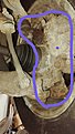 Натиснете снимката за да я уголемите

Име:IMG-304874735aa851e637b11cb003b99df1-V (2).jpg
Прегледи:366
Размер:177.7 КБ
ID:6860750