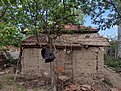 Натиснете снимката за да я уголемите

Име:IMG_20210505_173051384_HDR.jpg
Прегледи:1758
Размер:953.4 КБ
ID:6862566