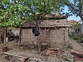 Натиснете снимката за да я уголемите

Име:IMG_20210505_173100548_HDR.jpg
Прегледи:1733
Размер:965.5 КБ
ID:6862570