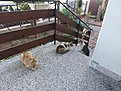 Натиснете снимката за да я уголемите

Име:20220509_184613.jpg
Прегледи:257
Размер:524.2 КБ
ID:6892080