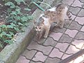 Натиснете снимката за да я уголемите

Име:20220705_160214.jpg
Прегледи:259
Размер:297.6 КБ
ID:6892086