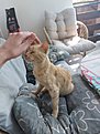 Натиснете снимката за да я уголемите

Име:20220828_105454.jpg
Прегледи:256
Размер:373.7 КБ
ID:6892104