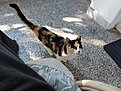 Натиснете снимката за да я уголемите

Име:20220911_101114.jpg
Прегледи:255
Размер:480.6 КБ
ID:6892107