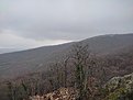 Натиснете снимката за да я уголемите

Име:IMG_20230303_154358.jpg
Прегледи:364
Размер:512.4 КБ
ID:6915030