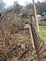 Натиснете снимката за да я уголемите

Име:IMG_1003.JPEG
Прегледи:622
Размер:1.85 МБ
ID:6918503