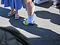 Натиснете снимката за да я уголемите

Име:IMG_2078.jpg
Прегледи:425
Размер:230.8 КБ
ID:6945440