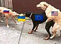 Натиснете снимката за да я уголемите

Име:IMG-20220328-WA0000[1].jpg
Прегледи:692
Размер:29.8 КБ
ID:6953420