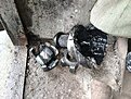 Натиснете снимката за да я уголемите

Име:IMG_20240509_184745493.jpg
Прегледи:336
Размер:778.4 КБ
ID:6964576