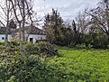 Натиснете снимката за да я уголемите

Име:IMG_20241108_135102.jpg
Прегледи:970
Размер:1.31 МБ
ID:6978853
