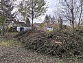 Натиснете снимката за да я уголемите

Име:IMG_20241108_140029.jpg
Прегледи:982
Размер:1.51 МБ
ID:6978857