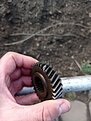 Натиснете снимката за да я уголемите

Име:IMG_20250124_165216.jpg
Прегледи:336
Размер:321.5 КБ
ID:6986162