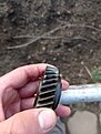 Натиснете снимката за да я уголемите

Име:IMG_20250124_165201.jpg
Прегледи:330
Размер:305.7 КБ
ID:6986164