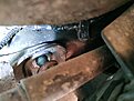 Натиснете снимката за да я уголемите

Име:IMG_20200624_200345.jpg
Прегледи:716
Размер:389.2 КБ
ID:6993154