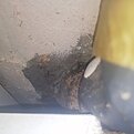 Натиснете снимката за да я уголемите

Име:foto_no_exif (177).jpg
Прегледи:106
Размер:342.3 КБ
ID:7009734