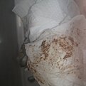 Натиснете снимката за да я уголемите

Име:foto_no_exif (182).jpg
Прегледи:108
Размер:254.9 КБ
ID:7009737