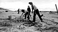 Натиснете снимката за да я уголемите

Име:kibbutz.jpg
Прегледи:101
Размер:59.2 КБ
ID:7054993