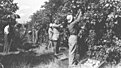 Натиснете снимката за да я уголемите

Име:kibbutz-orange-grove.jpg
Прегледи:101
Размер:368.8 КБ
ID:7054996