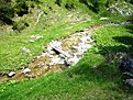 IMG 0482