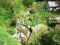 IMG 0502