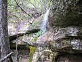 IMG 0516