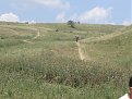 DSC05380