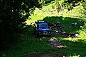 родопи 15