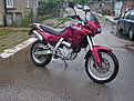 PICT0339