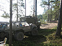 Picture 175