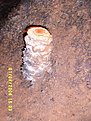 Peshtera Uhlovica 12