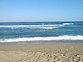 DSC00384 1
