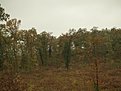 PA260542 []