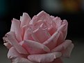 PA260556 []