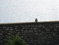 IMG 3692