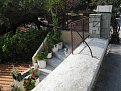 IMG 3577