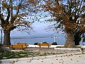 IMG 3311