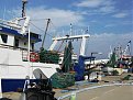 IMG 3275
