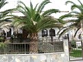 IMG 3187