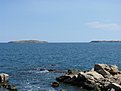 IMG 0020