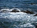 IMG 0023