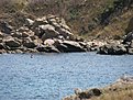 IMG 0026