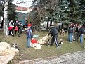 P1020488(1)