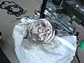 DSC01789
