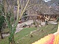DSC05782