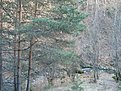 DSC00095