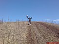 DSC00072